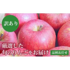 [訳あり] 旬のりんご 約3kg 6～14玉