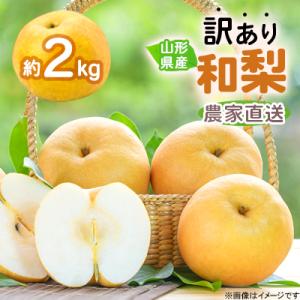 令和8年産 先行受付 農家直送 「和梨」 約2キロ 訳あり ご家庭用 【離島配送不可】