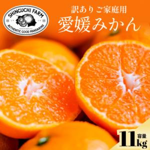 今シーズン発送開始!【訳あり】愛媛みかん 11kg 愛媛県産【C70-136】