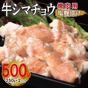 牛シマチョウ 焼肉用 塩麹漬け お試し 合計500g 味付け 小分け 牛肉ホルモン 099H4210