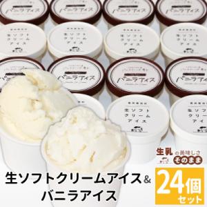 食べ比べ!24個セット　生ソフトクリームアイス&バニラアイスクリーム