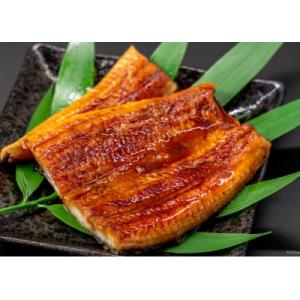 ふるさと納税 吉田町 【吉田町産】静岡うなぎ漁...の詳細画像1