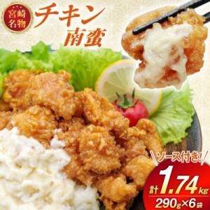 宮崎名物 チキン南蛮 290g 6袋入り 別添ソース付き