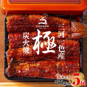 三河一色産うなぎ蒲焼大5尾(計700g以上)・R043-35