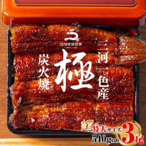 三河一色産うなぎ蒲焼超特大3尾(計540g以上)・R047-26