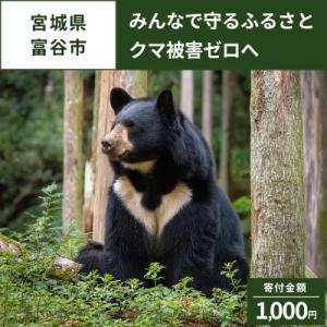 ふるさと納税 富谷市 【返礼品なし】クマによる...の詳細画像1