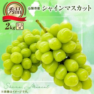 【2026年発送】大人気! シャインマスカット秀 2kg(3～5房)