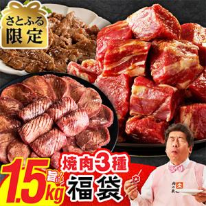 ふるさと納税 泉佐野市 【さとふる限定】焼肉福袋 3種1.5kg 氷温熟成×特製ダレ mrz0451