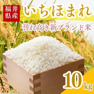 【令和7年産】福井県産いちほまれ白米10kg