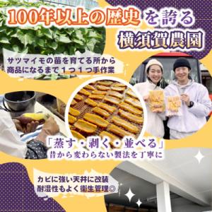 ふるさと納税 ひたちなか市 【訳あり・規格外品...の詳細画像2