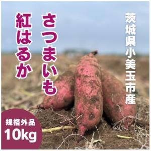 茨城県産さつまいも 紅はるか 10kg(訳あり・無選別)