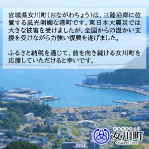 ふるさと納税 女川町 【返礼品なし】女川町への...の詳細画像1