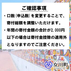 ふるさと納税 女川町 【返礼品なし】女川町への...の詳細画像2