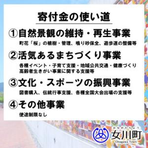 ふるさと納税 女川町 【返礼品なし】女川町への...の詳細画像3