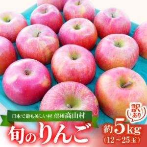 【2026年先行受付】日本で最も美しい村ー信州高山村ー　旬のりんご約5kg入り【訳あり品】