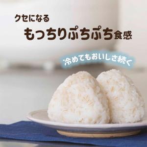 ふるさと納税 中央市 【はくばく】国産もち麦(...の詳細画像2