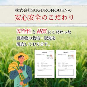 ふるさと納税 佐野市 令和7年産 特別栽培米に...の詳細画像2
