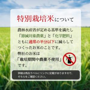 ふるさと納税 佐野市 令和7年産 特別栽培米に...の詳細画像3