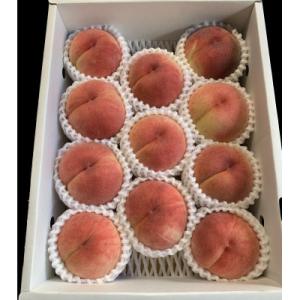 ふるさと納税 山形県 《先行受付》2026年発送　山形県産秋の桃　2.5kg(8個〜12個入)