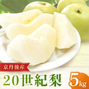 ふるさと納税 京丹後市 【先行予約/数量限定】20世紀梨 5kg(2026年9月上旬〜発送)