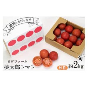 ふるさと納税 中央市 【2026年発送　先行受付】【秋作】トマト 桃太郎 約2kg