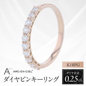 ふるさと納税 泉佐野市 アルカンシェル PGダイ...の商品画像