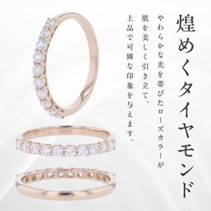 ふるさと納税 泉佐野市 アルカンシェル PGダ...の詳細画像2