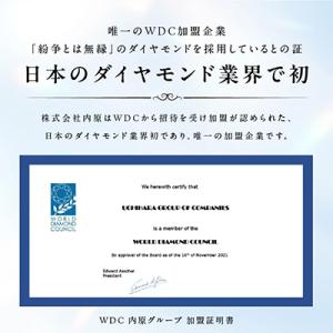 ふるさと納税 泉佐野市 アルカンシェル PGダ...の詳細画像3