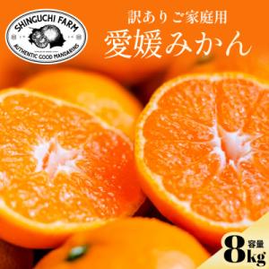 今シーズン発送開始!【訳あり】愛媛みかん 8kg 愛媛県産【C70-150】