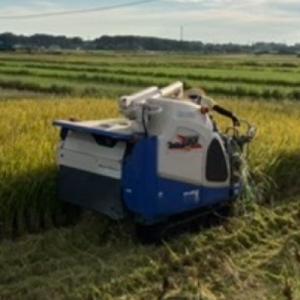 ふるさと納税 つくば市 にじのきらめき白米 1...の詳細画像1