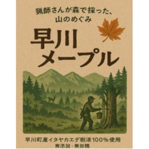 ふるさと納税 早川町 【早川ジビエ】猟師が採っ...の詳細画像1