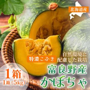 ふるさと納税 富良野市 【秋の味覚 北海道産 かぼちゃ】特濃こふき 無選別 5kg×1箱|北海道富良...