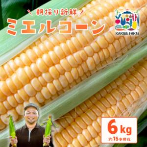 下妻産朝採りとうもろこし(ミエルコーン)約6kg 約15本前後入り 27年6月下旬から7月発送