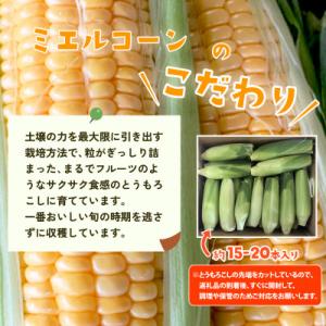 ふるさと納税 下妻市 【訳あり】下妻産朝採りと...の詳細画像2