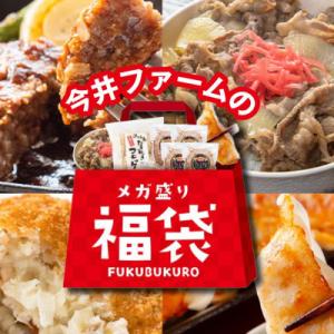 ふるさと納税 兵庫県 今井ファームのメガ盛り冷凍福袋