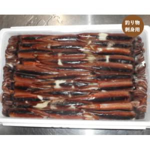 スルメイカ　30尾　約4.5kg