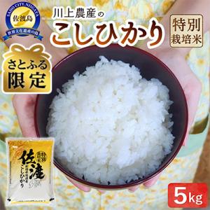【さとふる限定】佐渡　川上農産のコシヒカリ 精米(5kg)