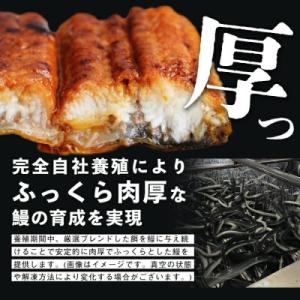 ふるさと納税 志布志市 鹿児島県産うなぎ蒲焼 ...の詳細画像1
