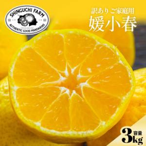ふるさと納税 八幡浜市 【数量限定】今シーズン発送!【訳あり】媛小春 3kg【C70-162】