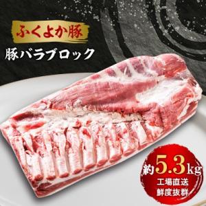 工場直送・鮮度抜群・ダイナミック【ふくよか豚】豚バラブロック 約5.3kg