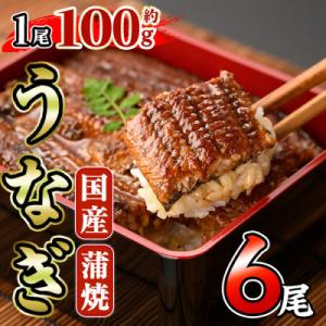 ふるさと納税 門川町 国産 うなぎ蒲焼(約100...の商品画像
