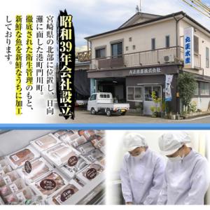 ふるさと納税 門川町 国産 うなぎ蒲焼(約10...の詳細画像1
