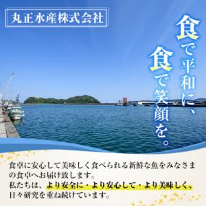 ふるさと納税 門川町 国産 うなぎ蒲焼(約10...の詳細画像2