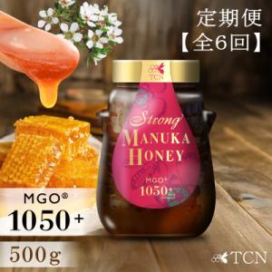 ふるさと納税 西尾市 【定期便全6回】マヌカハニー MGO1050+ 500g ストロングマヌカハニー・T147