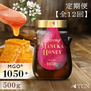 ふるさと納税 西尾市 【定期便全12回】マヌカハニー MGO1050+ 500g ストロングマヌカハニー・T148