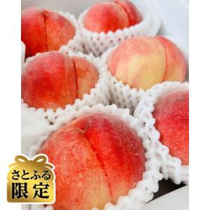 ふるさと納税 長野県 [さとふる限定]信州ハピネスフルーツの『ワッサー&桃』約5kg[家庭用・限定セット]
