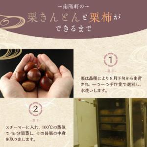 ふるさと納税 中津川市 【老舗 くり屋南陽軒】...の詳細画像1