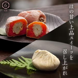 ふるさと納税 中津川市 【老舗 くり屋南陽軒】...の詳細画像3