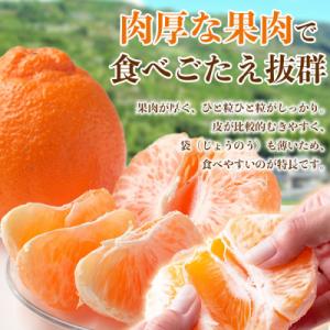 ふるさと納税 宇城市 【先行予約】熊本県 宇城...の詳細画像2