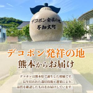 ふるさと納税 宇城市 【先行予約】熊本県 宇城...の詳細画像3
